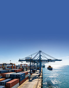 海關